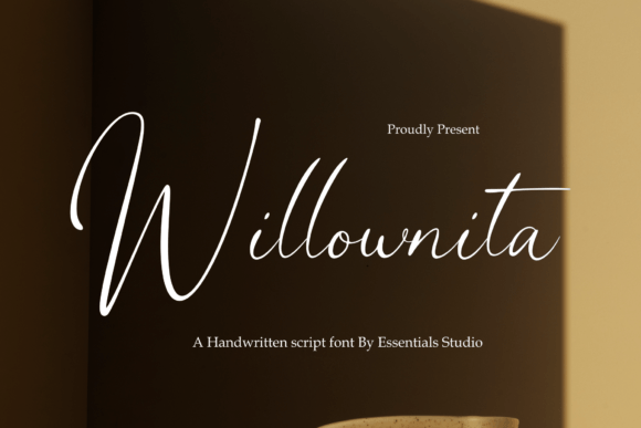 Willonita: A Modern Script Font Worth Knowing